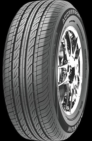 Arisun ZP01 Tire 205/60R15 91H