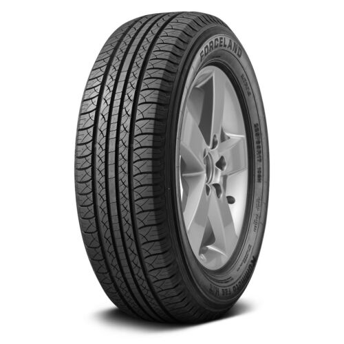 Forceland Kunimoto F26 Tire 225/65R17 102H