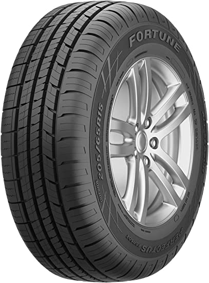 Fortune FSR602 Tire 205/50R17 93V