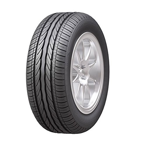 Leao Lion Sport UHP Tire 255/30R22 95V