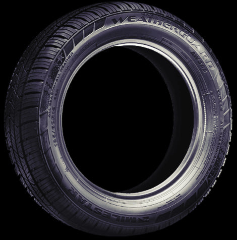 Milestar Weatherguard AW365 Tire 205/50R17 93H